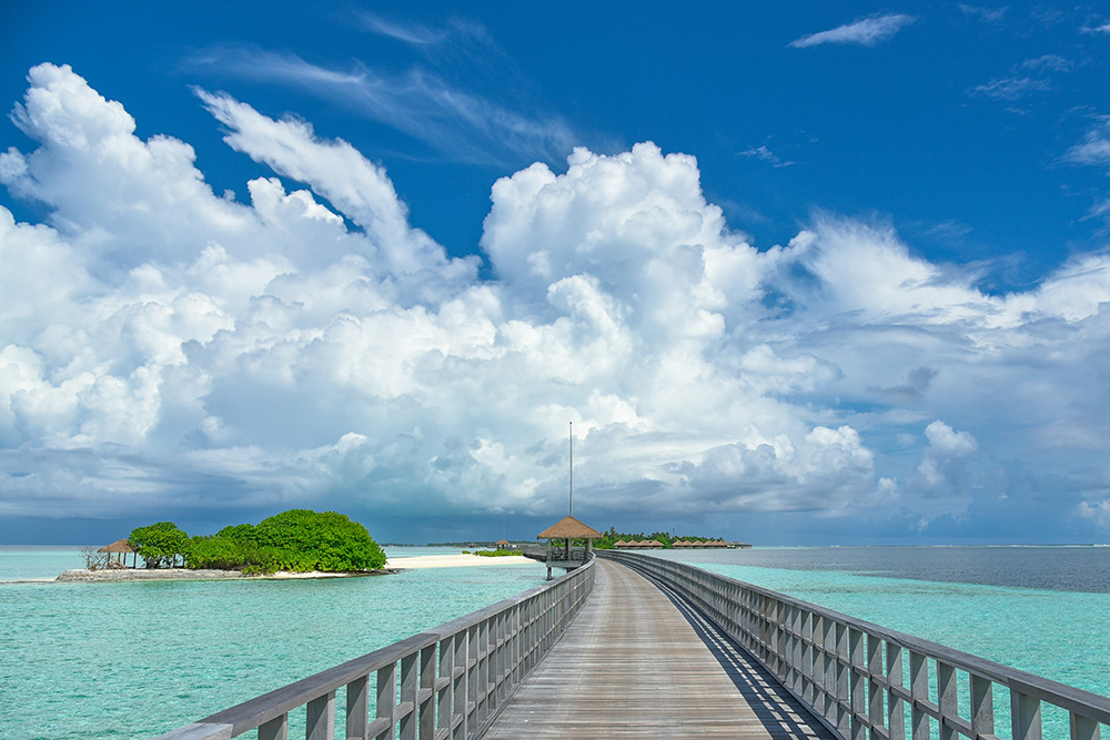 Travel and Tourism